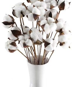 GTIDEA 20Pcs 23 inches Natural Dried Cotton Stem Farmhouse Artificial Flower Filler Floral Arrangement DIY Home Party Decor